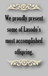 ￼
We proudly present
some of Lasodo’s
most accomplished
offspring.
 ￼