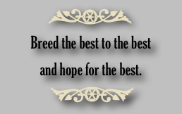 ￼
Breed the best to the best 
and hope for the best. 
 ￼