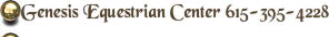 shapeimage_5_link_0